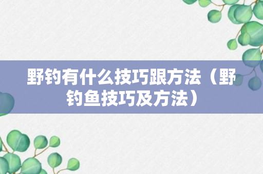 野钓有什么技巧跟方法（野钓鱼技巧及方法）