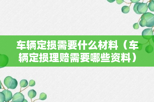 车辆定损需要什么材料（车辆定损理赔需要哪些资料）