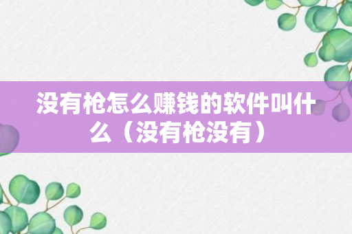 没有枪怎么赚钱的软件叫什么（没有枪没有）