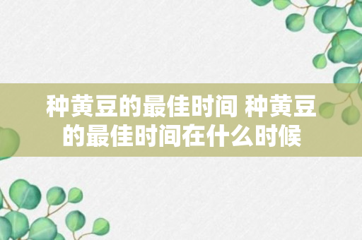 种黄豆的最佳时间 种黄豆的最佳时间在什么时候