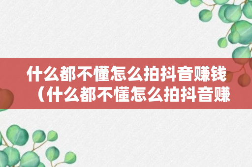 什么都不懂怎么拍抖音赚钱（什么都不懂怎么拍抖音赚钱的视频）