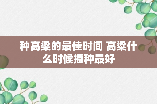 种高梁的最佳时间 高粱什么时候播种最好