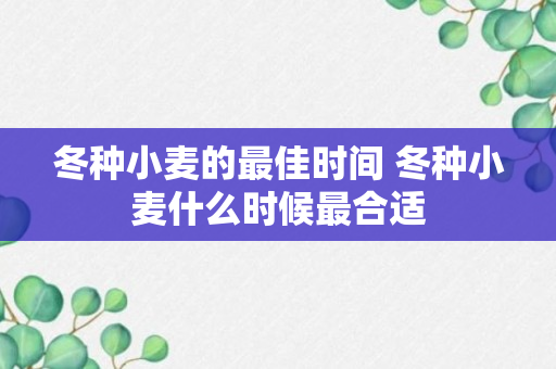 冬种小麦的最佳时间 冬种小麦什么时候最合适