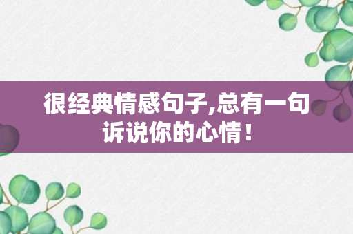 很经典情感句子,总有一句诉说你的心情！