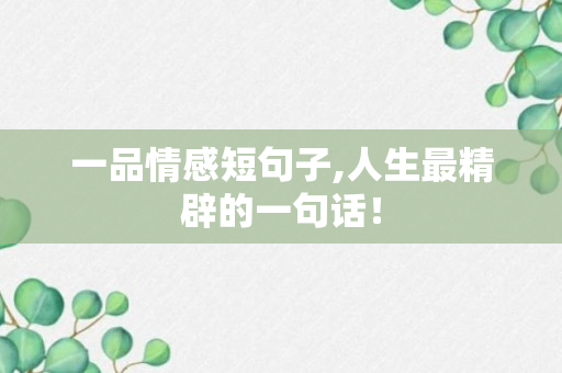 一品情感短句子,人生最精辟的一句话！