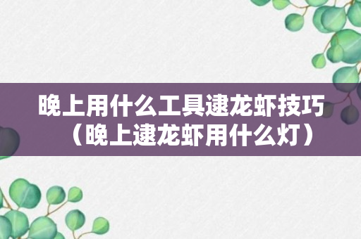 晚上用什么工具逮龙虾技巧（晚上逮龙虾用什么灯）