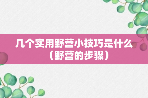 几个实用野营小技巧是什么（野营的步骤）