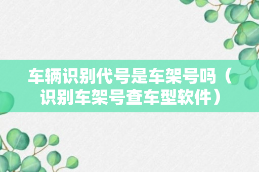 车辆识别代号是车架号吗（识别车架号查车型软件）