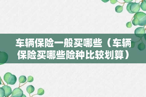 车辆保险一般买哪些（车辆保险买哪些险种比较划算）