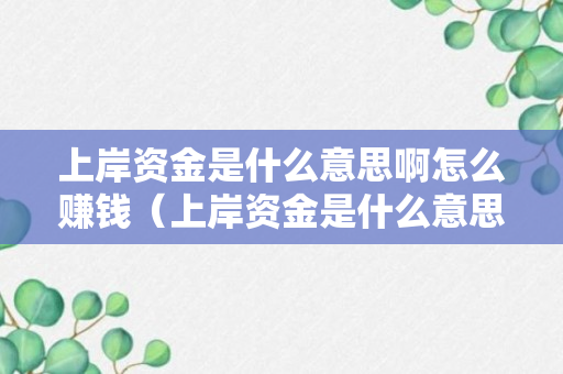 上岸资金是什么意思啊怎么赚钱（上岸资金是什么意思啊怎么赚钱的）