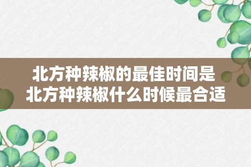 北方种辣椒的最佳时间是 北方种辣椒什么时候最合适