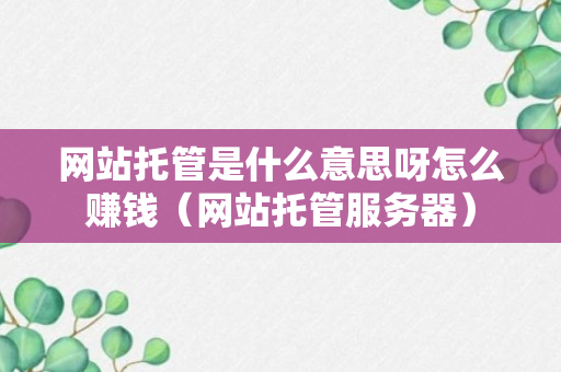 网站托管是什么意思呀怎么赚钱（网站托管服务器）