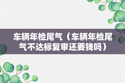 车辆年检尾气（车辆年检尾气不达标复审还要钱吗）