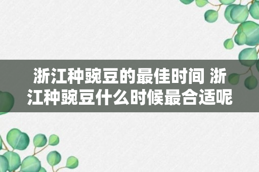 浙江种豌豆的最佳时间 浙江种豌豆什么时候最合适呢