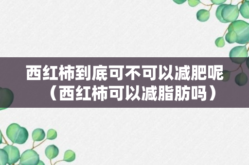 西红柿到底可不可以减肥呢（西红柿可以减脂肪吗）