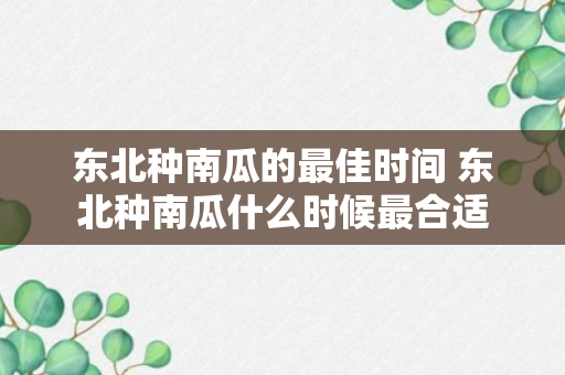 东北种南瓜的最佳时间 东北种南瓜什么时候最合适