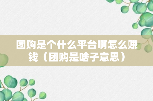 团购是个什么平台啊怎么赚钱（团购是啥子意思）