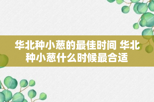 华北种小葱的最佳时间 华北种小葱什么时候最合适