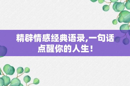 精辟情感经典语录,一句话点醒你的人生！