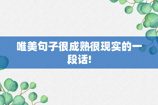 唯美句子很成熟很现实的一段话!