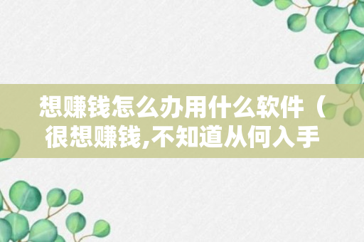 想赚钱怎么办用什么软件（很想赚钱,不知道从何入手）