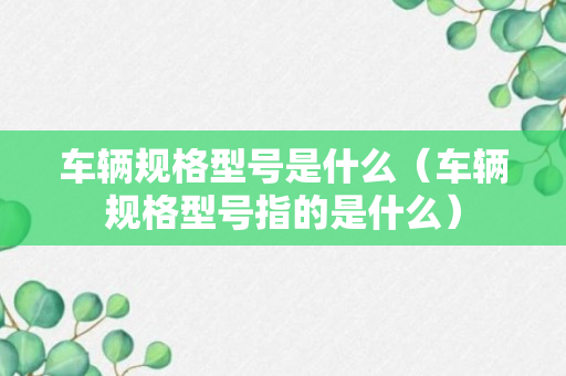 车辆规格型号是什么（车辆规格型号指的是什么）