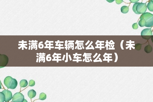 未满6年车辆怎么年检（未满6年小车怎么年）