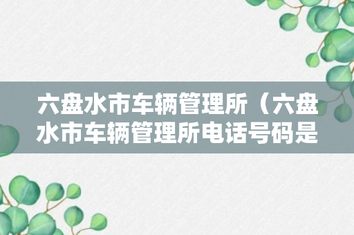 六盘水市车辆管理所（六盘水市车辆管理所电话号码是多少）