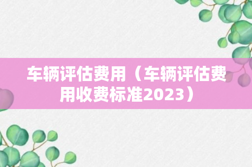 车辆评估费用（车辆评估费用收费标准2023）