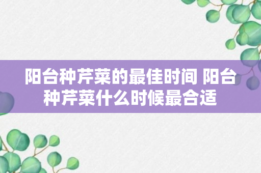 阳台种芹菜的最佳时间 阳台种芹菜什么时候最合适