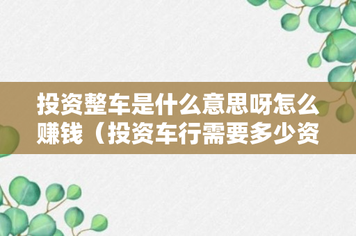 投资整车是什么意思呀怎么赚钱（投资车行需要多少资金）