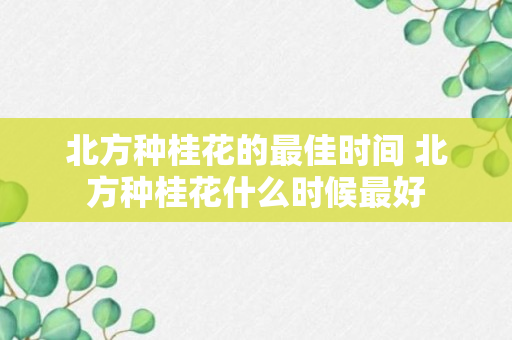 北方种桂花的最佳时间 北方种桂花什么时候最好