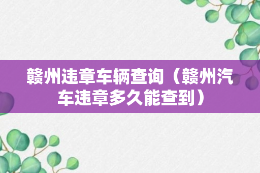 赣州违章车辆查询（赣州汽车违章多久能查到）