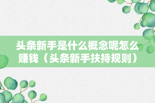 头条新手是什么概念呢怎么赚钱（头条新手扶持规则）