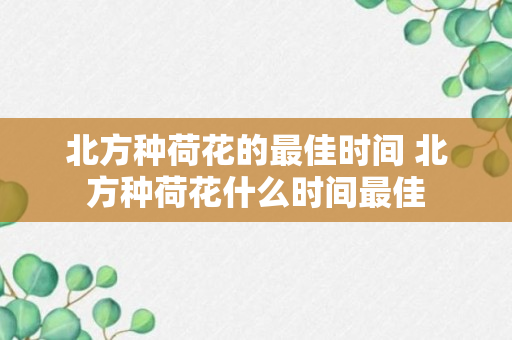 北方种荷花的最佳时间 北方种荷花什么时间最佳