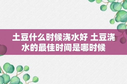 土豆什么时候浇水好 土豆浇水的最佳时间是哪时候