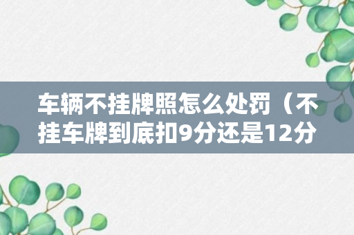 车辆不挂牌照怎么处罚（不挂车牌到底扣9分还是12分）