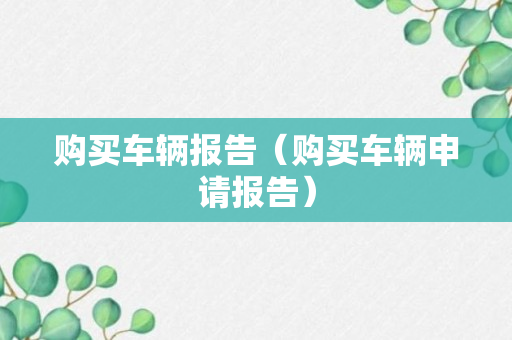 购买车辆报告（购买车辆申请报告）