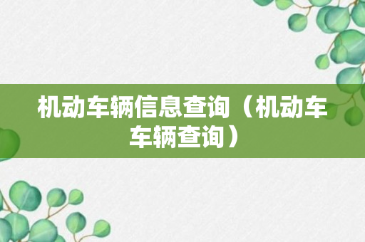 机动车辆信息查询（机动车车辆查询）