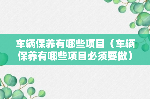 车辆保养有哪些项目（车辆保养有哪些项目必须要做）