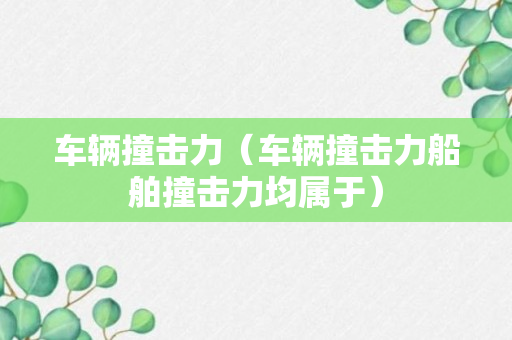 车辆撞击力（车辆撞击力船舶撞击力均属于）