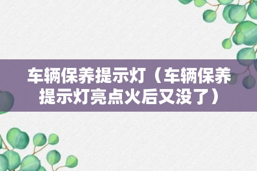 车辆保养提示灯（车辆保养提示灯亮点火后又没了）