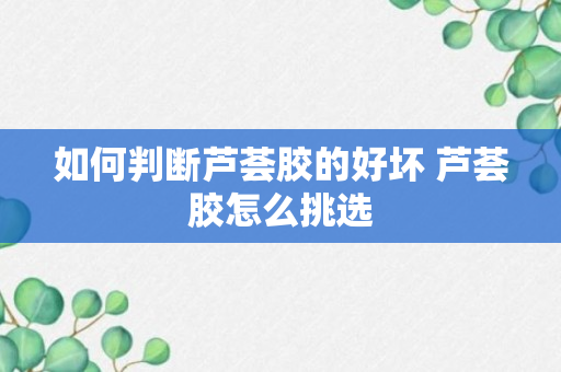 如何判断芦荟胶的好坏 芦荟胶怎么挑选