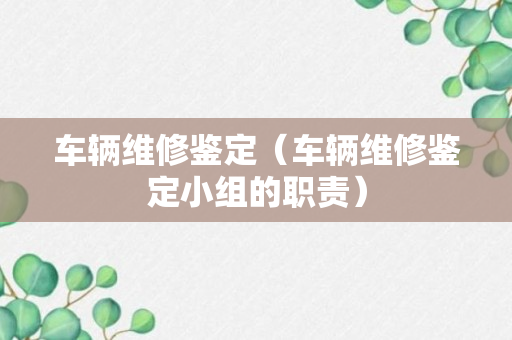 车辆维修鉴定（车辆维修鉴定小组的职责）