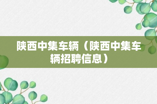 陕西中集车辆（陕西中集车辆招聘信息）