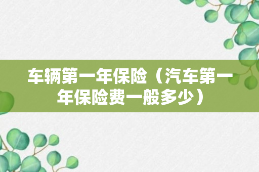 车辆第一年保险（汽车第一年保险费一般多少）