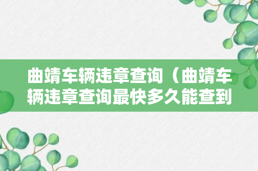 曲靖车辆违章查询（曲靖车辆违章查询最快多久能查到）