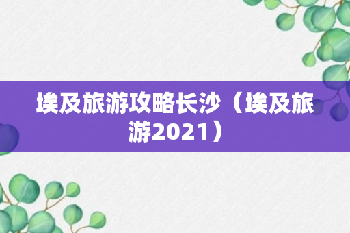 埃及旅游攻略长沙（埃及旅游2021）