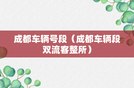 成都车辆号段（成都车辆段双流客整所）