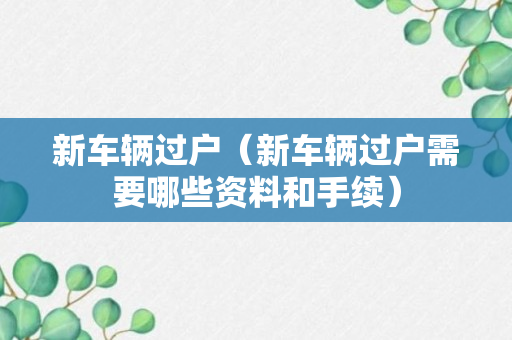 新车辆过户（新车辆过户需要哪些资料和手续）